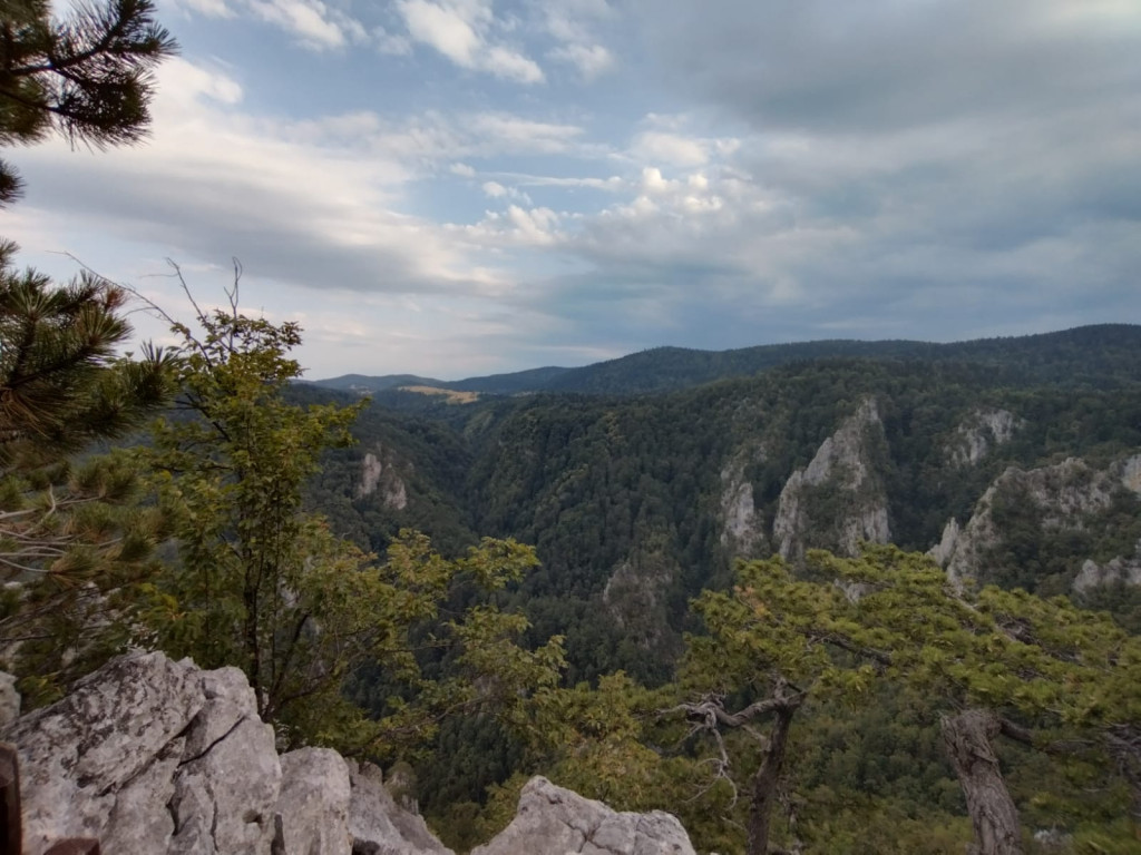 MESTO GDE SE GNEZDE SURI ORLOVI Najlepši vidikovac u Srbiji, možete sresti i divljač