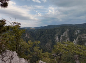 Vrata raja otvaraju se na ovoj srpskoj planini: Sokolarica je nestvarno lep vidikovac na Tari