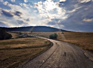 NA SRPSKOJ PLANINI SE OTVARAJU VRATA RAJA Nestvarno lep vidikovac na Tari, turisti iz čitavog sveta dolaze na ovo mesto gde se gnezde suri orlovi (FOTO)