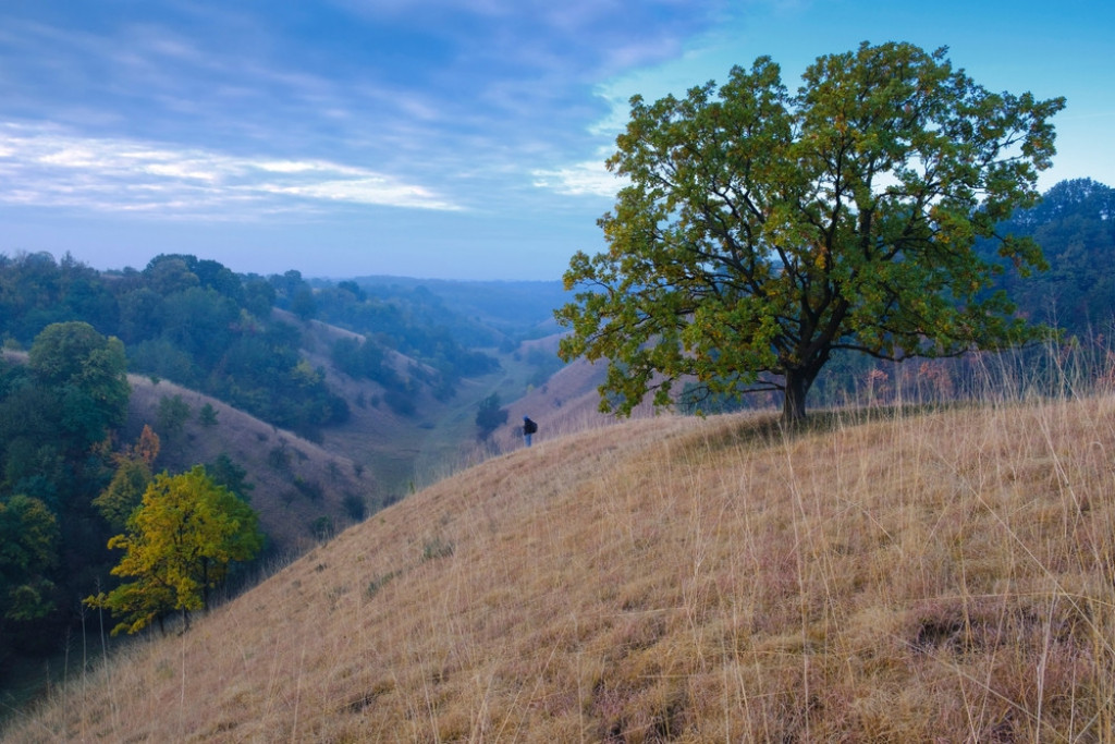 ZELENA OAZA DELIBLATSKE PEŠČARE Jedinstvena peščara u Evropi koja se nalazi u južnom Banatu, mnogi je nazivaju i srpskom Toskanom!