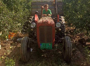 NAJMLAĐI POLJOPRIVREDNIK IKADA Ne samo da vozi traktor nego i ređa sve petice u školi! (FOTO/VIDEO)