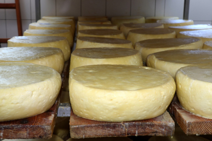 MESTO GDE NASTAJE MAGIJA ZA NEPCE  Čuvene tajne ručne izrade Pirotskog kačkavalja, koji se i danas pravi po recepturi staroj 300 godina