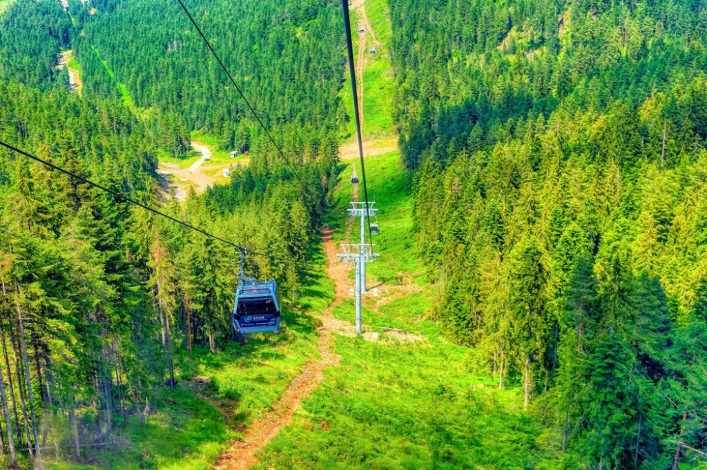 ZLATIBOR POKAZAO KAKO SE VOLI ZEMLJA Deca nam služe kao primer kako se brine o prirodi (FOTO/VIDEO)