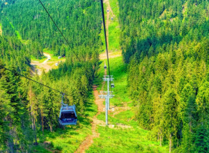 OBORILA REKORDE U POSETI: Zlatiborska Gold gondola privukla hiljade turista, a od septembra će biti promena