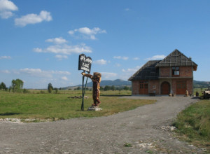 ŠLJIVOVICA NIJE SAMO IME ZA RAKIJU Ovako se prozvala zato što su se u njoj prvo počele saditi šljive (FOTO/VIDEO)