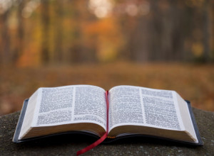 "SRPSKA ATINA" CENTAR ZBIVANJA Sajam knjiga, pa Sajam obrazovanja u Novom Sadu u razmaku od samo dva dana