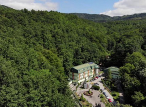 JEDNA OD NAJPOSEĆENIJIH LOKACIJA U SRBIJI Ovu retkost ima još samo Japan, a mi je imamo u Gornjoj Trepči (FOTO/VIDEO)