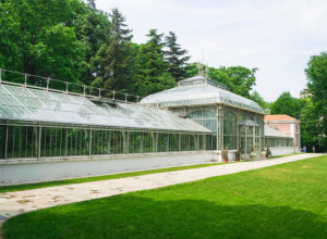 VELIKI JUBILEJ OBELEŽEN U BEOGRADU  130 godina velike staklene bašte u Botaničkoj bašti "Jevremovac"!