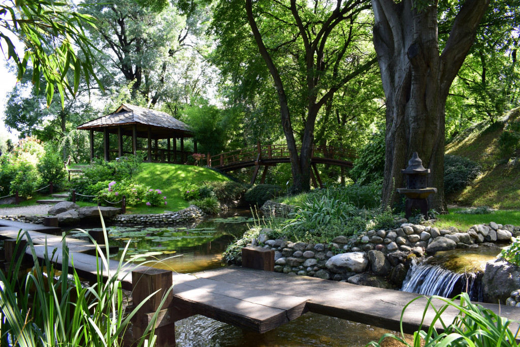ZABORAVLJENO PARČE RAJA U BEOGRADU Prirodna oaza u samom centru grada mami svojom impozantnošću! (FOTO)
