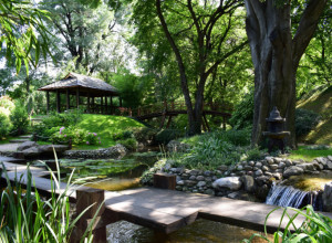 U ovoj OAZI PRIRODE usred grada nalazi se magični JAPANSKI VRT