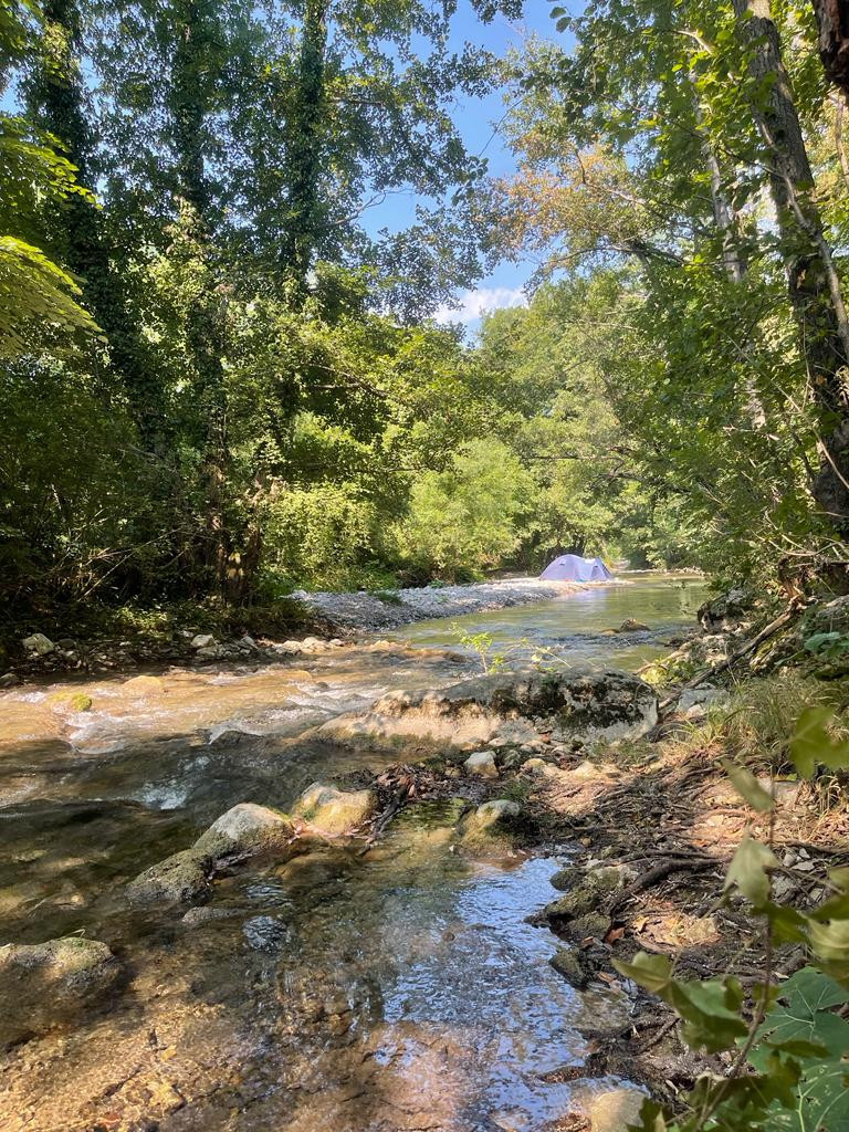 Na 100 km od Beograda čeka vas oaza: Kupanje u pijaćoj vodi i staze u šumi zbog kojih ćete zaboraviti da je napolju vrelo