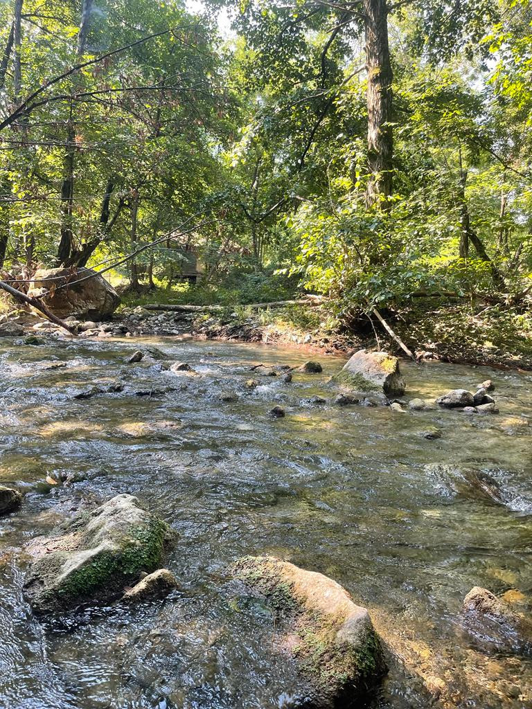 NAJLEPŠA VRELA U SRBIJI  Mesta koja vas mogu hipnotisati i zbuniti, izvori od kojih nastaju reke (FOTO)