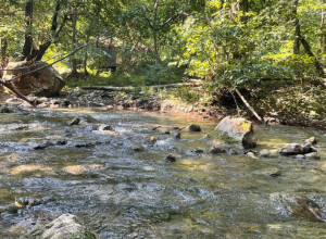 NAJLEPŠA VRELA U SRBIJI  Mesta koja vas mogu hipnotisati i zbuniti, izvori od kojih nastaju reke (FOTO)