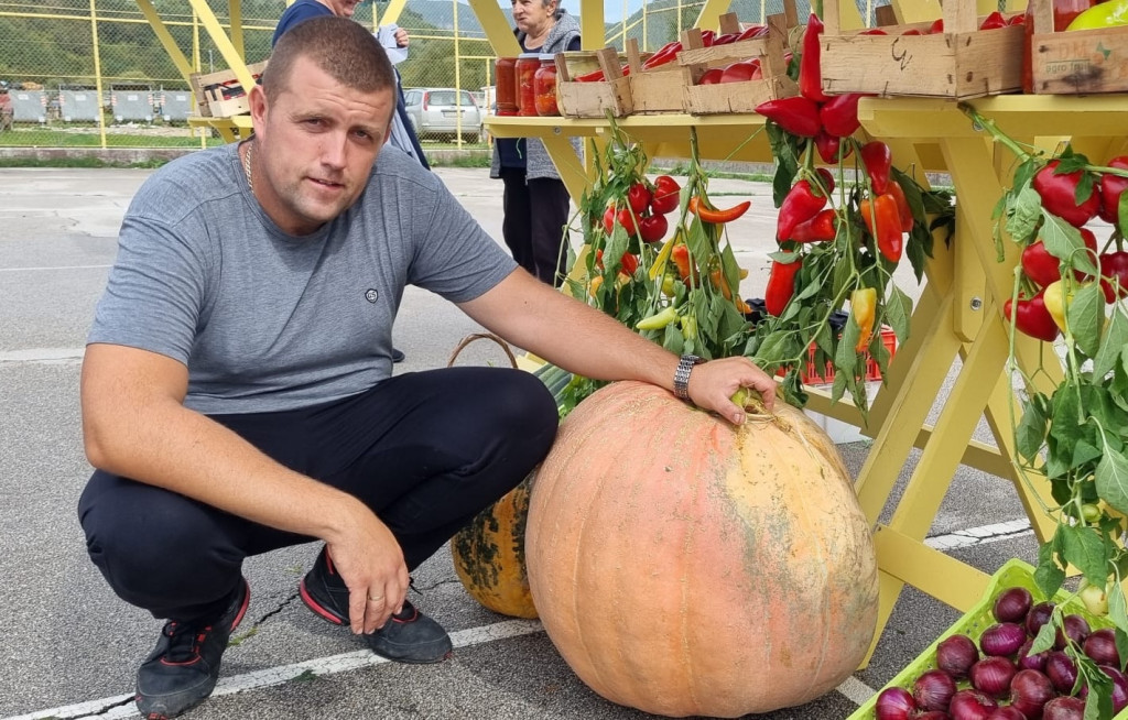 DŽINOVSKA TIKVA NIKLA KOD PRIJEPOLJA Domaćin Ljubisav morao da je vozi u prikolici zbog gabarita i otkrio, seme jeste nemačko ali je zemlja srpska (FOTO)