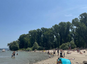 DIVLJINA USRED BEOGRADA Istražite čari ostrva u prestonici na kom glavnu reč vode ove životinje (FOTO)