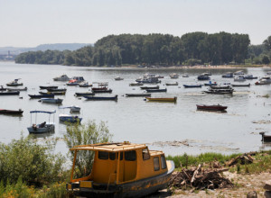 ISKORISTITE SJAJNU PRILIKU Organizuju se besplatne ture na Velikom ratnom ostrvu, evo i kada