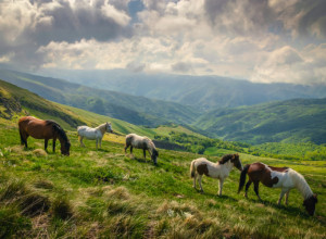 ZA NEKE OD NJIH SIGURNO NISTI ČULI Da li znate koliko Srbija ima planina?