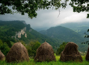 NAJLEPŠE BOJE SRBIJE Ovaj deo naše zemlje jednostavno morate posetiti ove jeseni (FOTO)