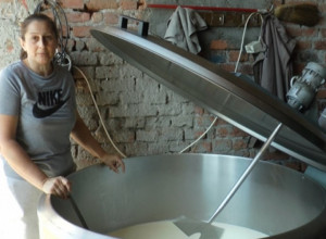 ZOVU IH MLEKARE IZ CELE SRBIJE DA IM PREDAJU MLEKO Dragana nije zatvorila farmu i rasprodala krave, našla je recept za uspeh (FOTO)