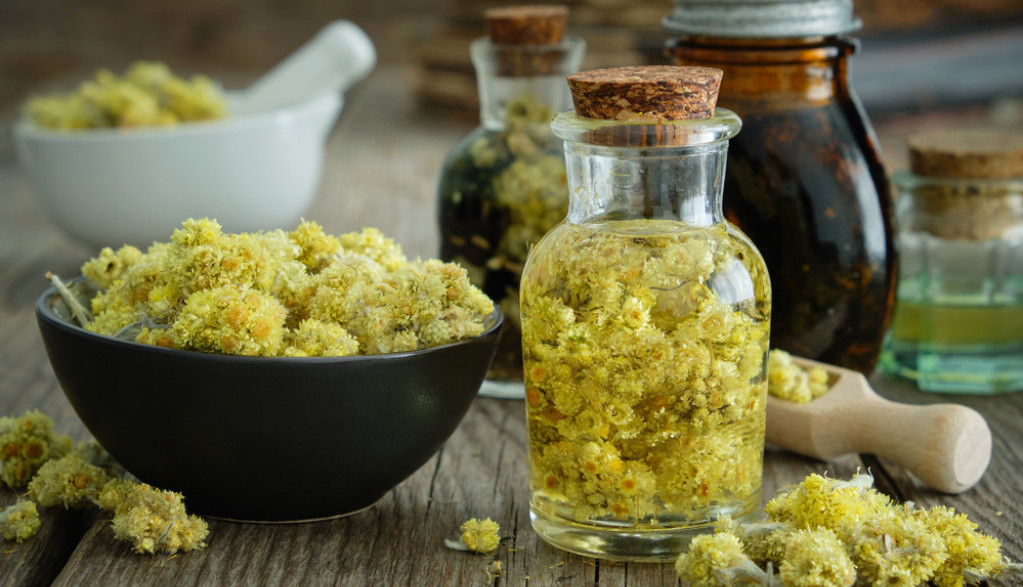 SMILJE 1000 malih SUNACA što mirišu na bakino naručje, a tek šta sve LEČI!