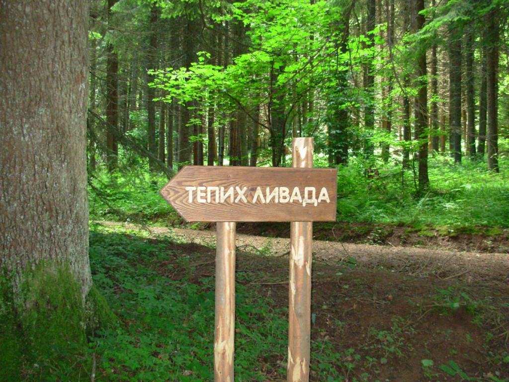 UGIBA SE POD NOGAMA KAO MEK TEPIH Ova livada na Tari se formira još od Ledenog doba (FOTO/VIDEO)