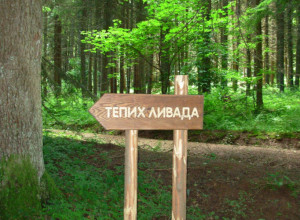 UGIBA SE POD NOGAMA KAO MEK TEPIH Ova livada na Tari se formira još od Ledenog doba (FOTO/VIDEO)