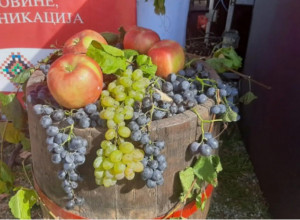 "OBRAŠE SE VINOGRADI" U TOJ TOSKANI Jedna od najznačajnijih manifestacija u Srbiji, važna za promociju vinskog turizma (FOTO/VIDEO)