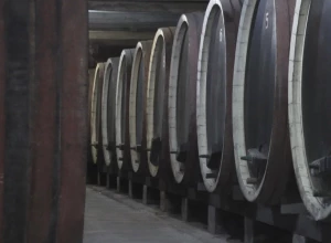 OVDE SE ČUVAJU NAJSKUOLJA VINA NA BALKANU Kralj Aleksandar Karađorđević ostavio ih je u amanet Srbima (FOTO)