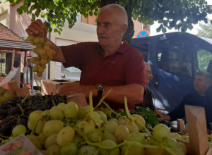 VINOGRAD TRAŽI SLUGU, A NE GOSPODARA Glišićima rodili džinovski primerci grožđa- jedan grozd težak čak četiri kilograma (FOTO)
