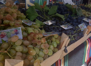 Evo za šta je sve dobro grožđe: Pomaže u prevenciji teških bolesti koje pogađaju najveći broj Srba - važno je