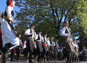 TRAŽIO SE KREVET VIŠE U SRPSKOJ TOSKANI Oplenačka berba dostigla neslućene razmere za dane vina (FOTO/VIDEO)