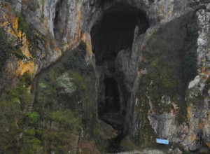 Biser Srbije, jedinstven na Balkanu, a turisti imaju samo reči hvale: "Tamo se lakše diše"