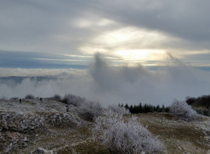 MORATE DOŽIVETI OVU LEPOTU Planina u Srbiji koja očarava netaknutom prirodom (FOTO)