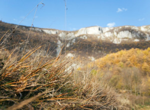 MORATE DOŽIVETI OVU LEPOTU Planina u Srbiji koja očarava netaknutom prirodom (FOTO)