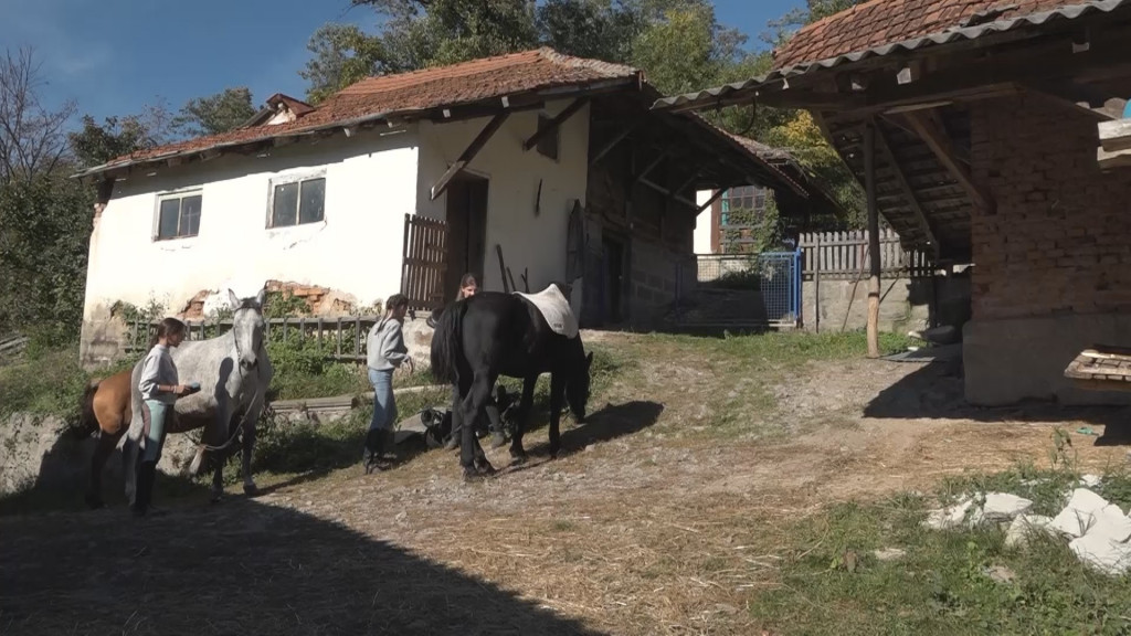 DIVLJI GALOP ILI SPORI KAS? Proplanak odakle puca pozlaćena oktobarska razglednica na Tresku, može se videti sa sedla (FOTO/VIDEO)