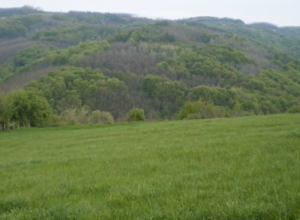 RAJ NA 85 KILOMETARA OD BEOGRADA Prirodne lepote na korak od vas, mnogi kažu da je ovo najlepše selo u Srbiji (VIDEO)