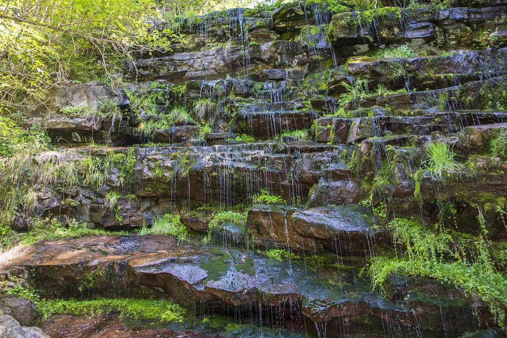 ARABINJE OČARAVA SVOJOM LEPOTOM Raj na Staroj planini na kojem nećete odoleti da zabodete šator (FOTO/VIDEO)