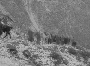 Ko da smo se mi Srbi u boga sas kamenje gađali: Pismo srpskog ratnika 1915. godine porodici pred povlačenje vojske preko Albanije