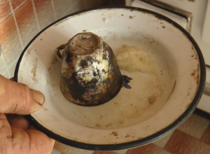 ČUVENO "NAMEŠTANJE" ŽELUCA ČAK I NA DALJINU Potrebna je jedna šoljica za kafu, limeni tanjir i izvorska voda (FOTO/VIDEO)