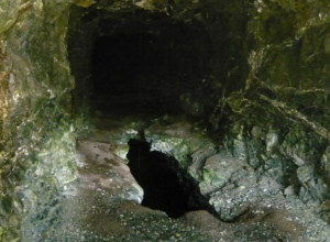 MISTERIOZNI TUNEL USRED NEKADA NAJROMANTIČNIJEG SRPSKOG SELA Veruje se da su ga kopali Francuzi