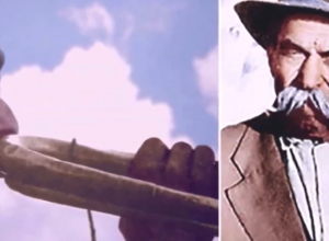 POTEZ KOJI JE ZAVRŠIO U UDŽBENICIMA Kako su Rom i njegova truba doneli pobedu srpskoj vojsci?