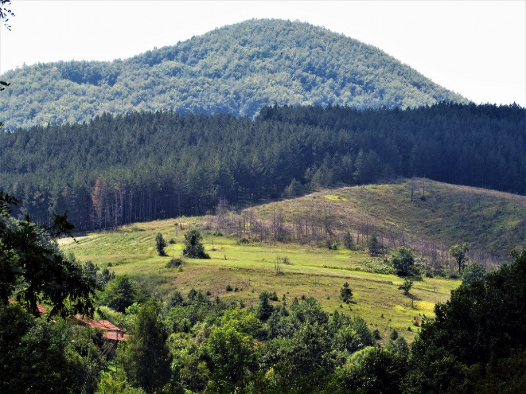 KAŽU ZA NJU DA JE NAJLEKOVITIJA SRPSKA PLANINA Lepotica nadomak Kraljeva nudi beg od gužve, izvore, a tu je i poznata banja (FOTO)