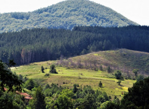 KAŽU ZA NJU DA JE NAJLEKOVITIJA SRPSKA PLANINA Lepotica nadomak Kraljeva nudi beg od gužve, izvore, a tu je i poznata banja (FOTO)
