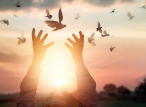 ŠTA KAŽU NARODNA VEROVANJA U SRBIJI Evo šta znači kada vam ptica uđe u kuću ili sleti na prozor