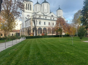 POKRENUTA JE INICIJATIVA DA I ULICA DOBIJE IME PO IRINEJU Spomenik visok dva i po metra sa likom voljenog patrijarha