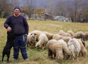 MACA TI POJELA JEZIK, MLATI PRAZNU SLAMU, SKARABUDŽITI Ovo su izrazi u srpskom jeziku koje je nemoguće objasniti strancima