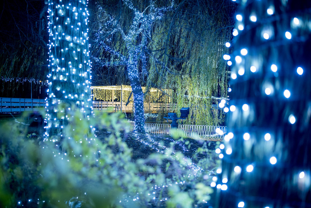 DANAS SE OTVARA LEDENA ŠUMA Evo šta posetioci mogu da očekuju na otvaranju, a i tokom trajanja manifestacije