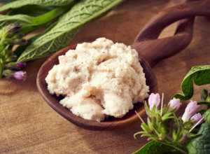 U KOMBINACIJI SA RAKIJOM OVA BILJKA NEMA GRANICE U narodu se verovalo da potiče iz rajskog vrta (RECEPT)