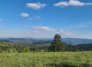 BOGATA PONUDA SRPSKE PLANINE Od "bakterije sreće" do prelepih pejzaža i čistog vazduha, dobiće i „Linijski park Zlatar”