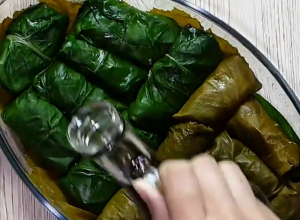 SARMICE U LISTU VINOVE LOZE I BLITVE Odlične su na ovaj način, tradicija plus vitamini